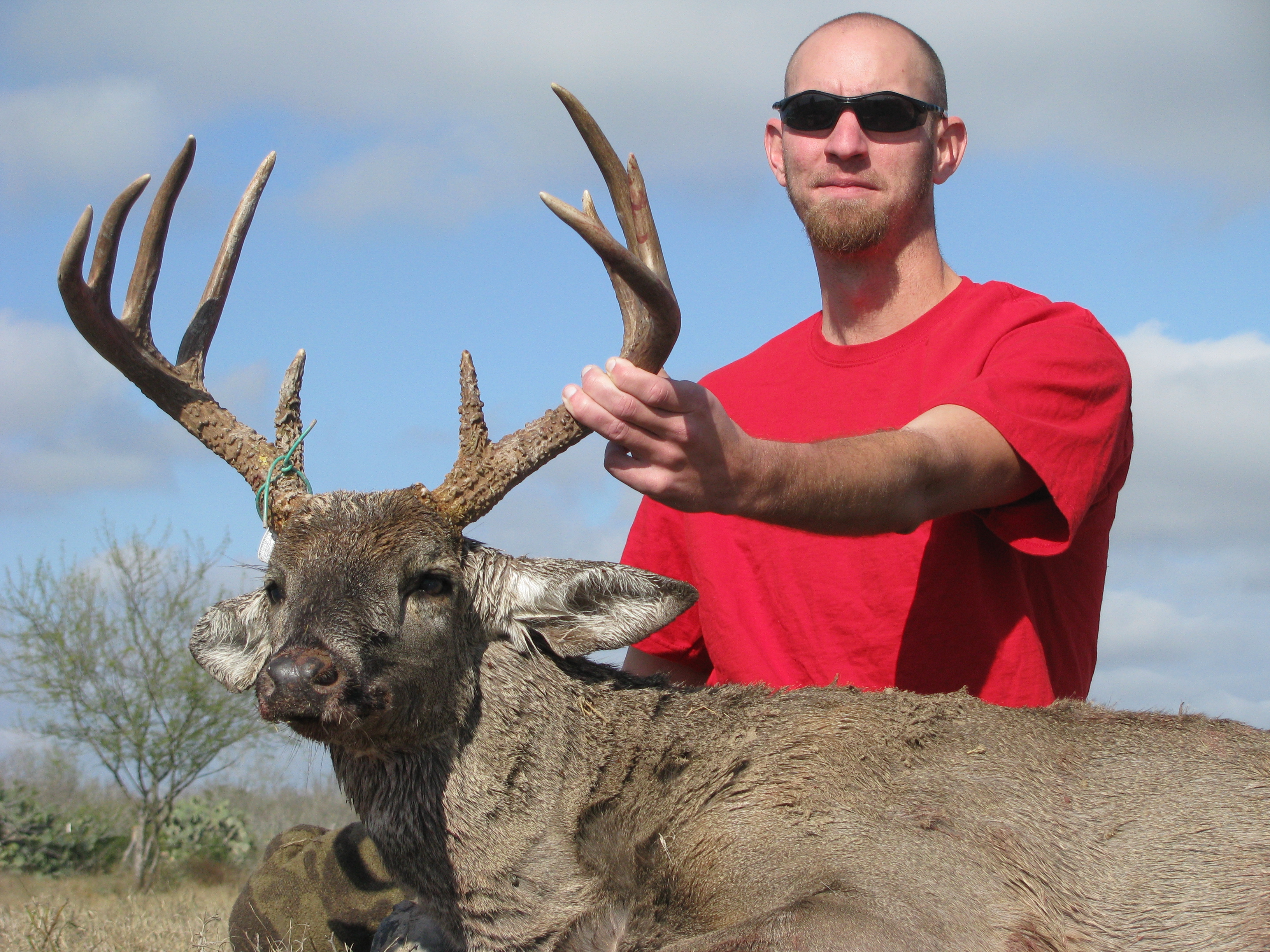 Hooks and Horns Outdoors